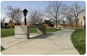bench