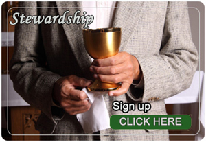 stewardship